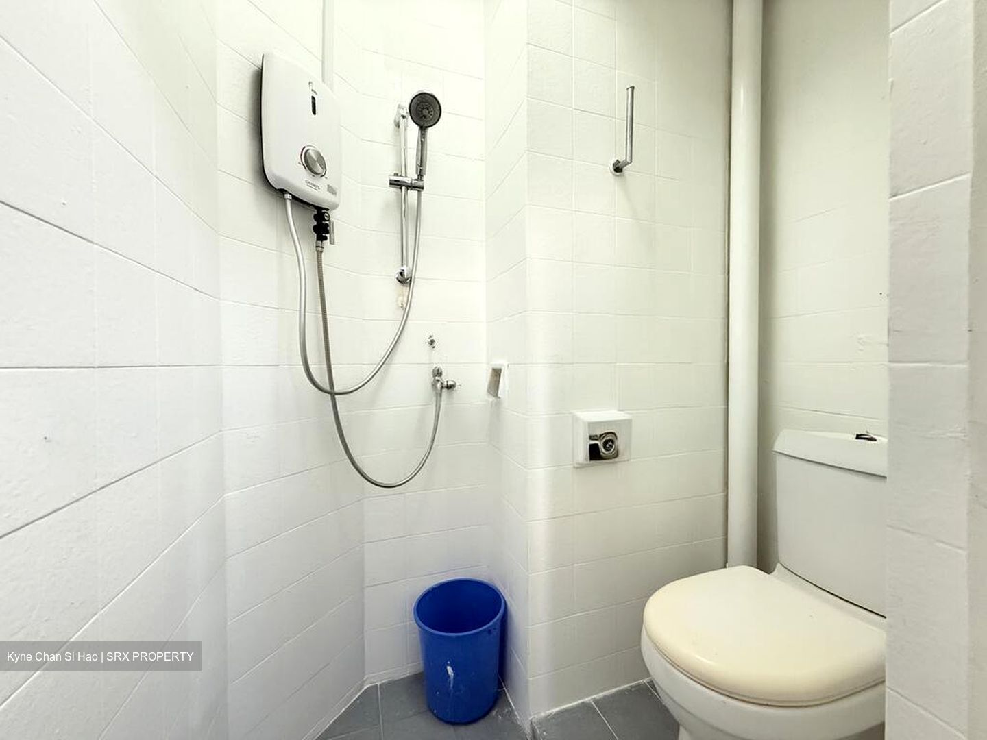 Pine Grove (D21), Condominium #498430871